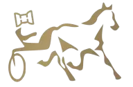 Trotting Horse